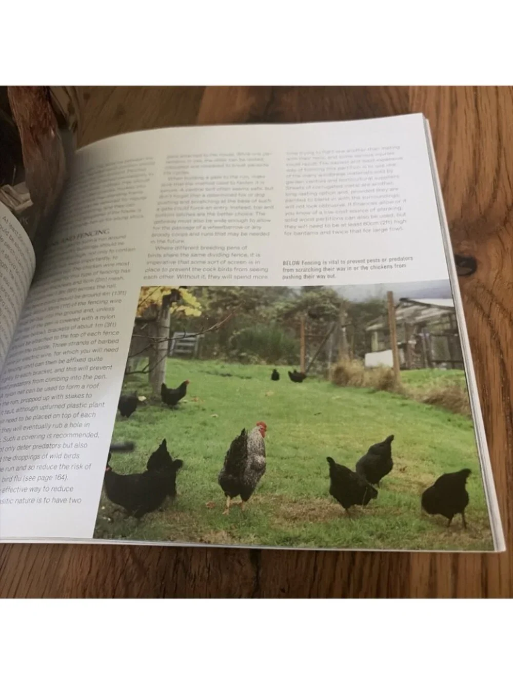 Keeping Chickens : Getting the Best from Your Chickens by Jeremy Hobson and...
